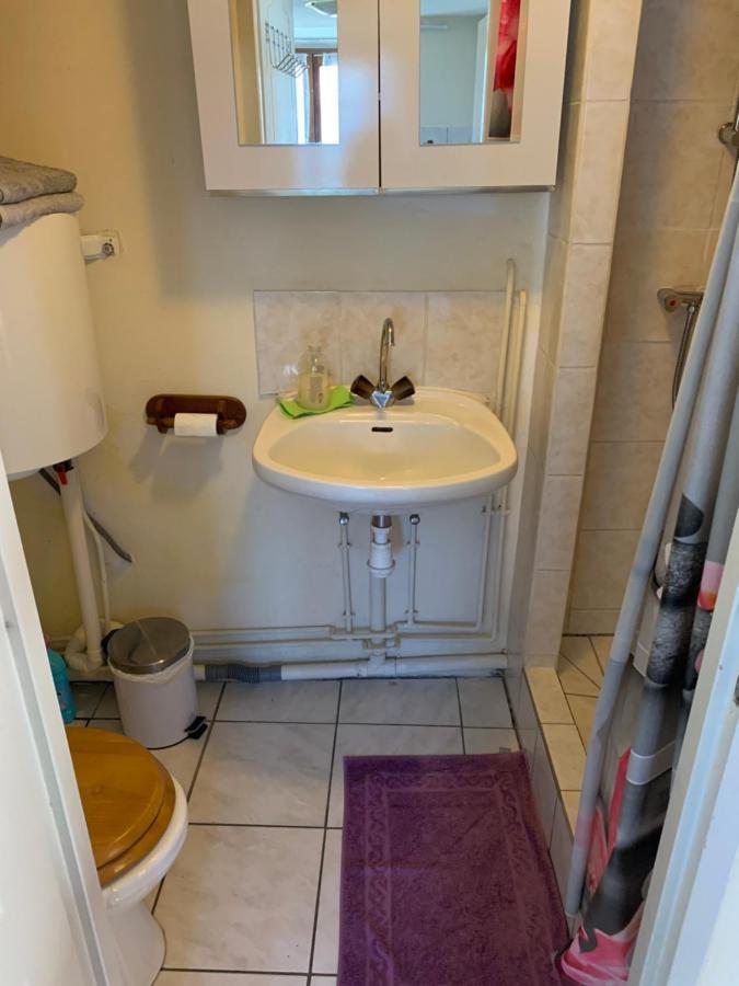 Appartement Style Rustique Urbès Εξωτερικό φωτογραφία
